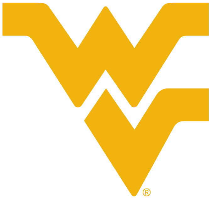 West Virginia Mountaineers 1980-Pres Alternate Logo t shirts iron on transfers v4
